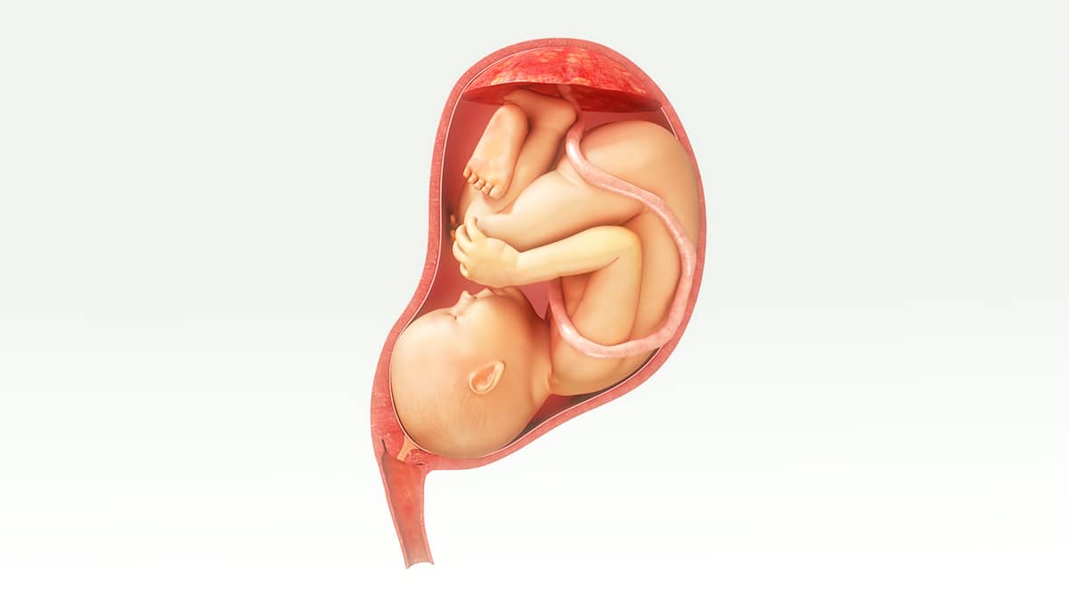 What is Placenta Previa & How Do You Treat It?