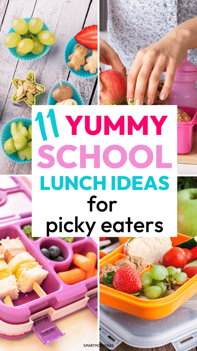 11 Yummy School Lunch Ideas For Picky Eaters